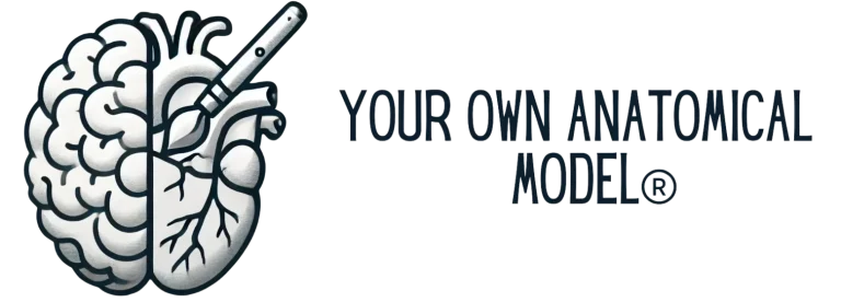 logo-horizontal-sin-fondo-e1732604508102