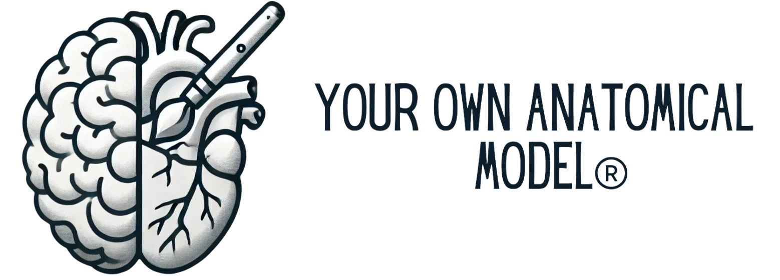 logo-horizontal-sin-fondo-e1732604508102